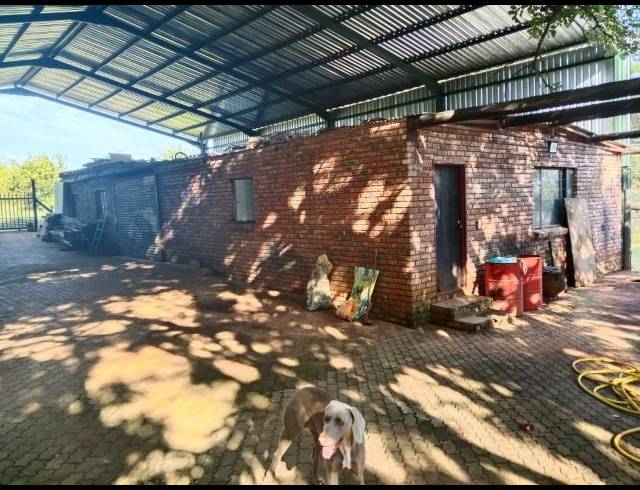 FARM FOR SALE IN LOUIS TRICHARDT RURAL